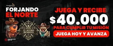 Pin Up Casino Chile - Slots y Juegos